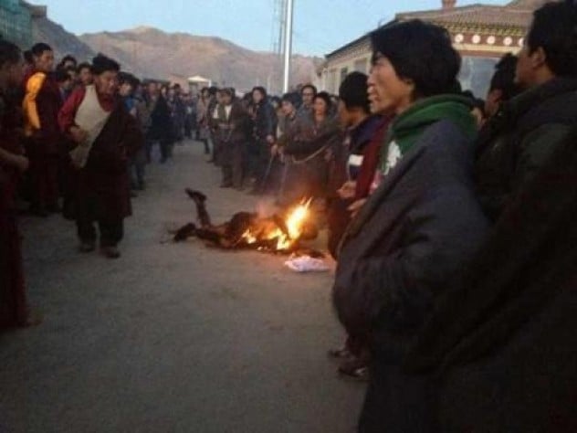 18歲的藏人寧嘉博，在西藏安多地區熱貢（今青海省黃南州同仁縣）多哇鄉政府門前自焚抗議，當場犧牲