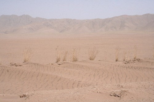 网络照片：受到沙漠化侵袭的若尔盖草原（2007年4月12日摄）新华社记者吴晶晶摄