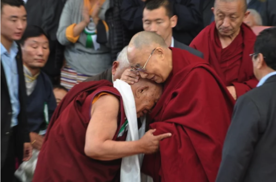益西顿登医师觐见达赖喇嘛尊者 照片/资料图片