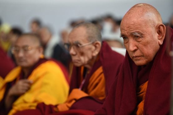 在印度佛教圣地菩提迦耶聆听达赖喇嘛尊者开示的现任和前任甘丹赤巴等高僧大德 2019年1月6日 照片/Pasang Dhonduop/CTA