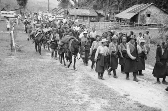 1959年流亡藏人到达印度过境难民营地 照片/M10纪念馆