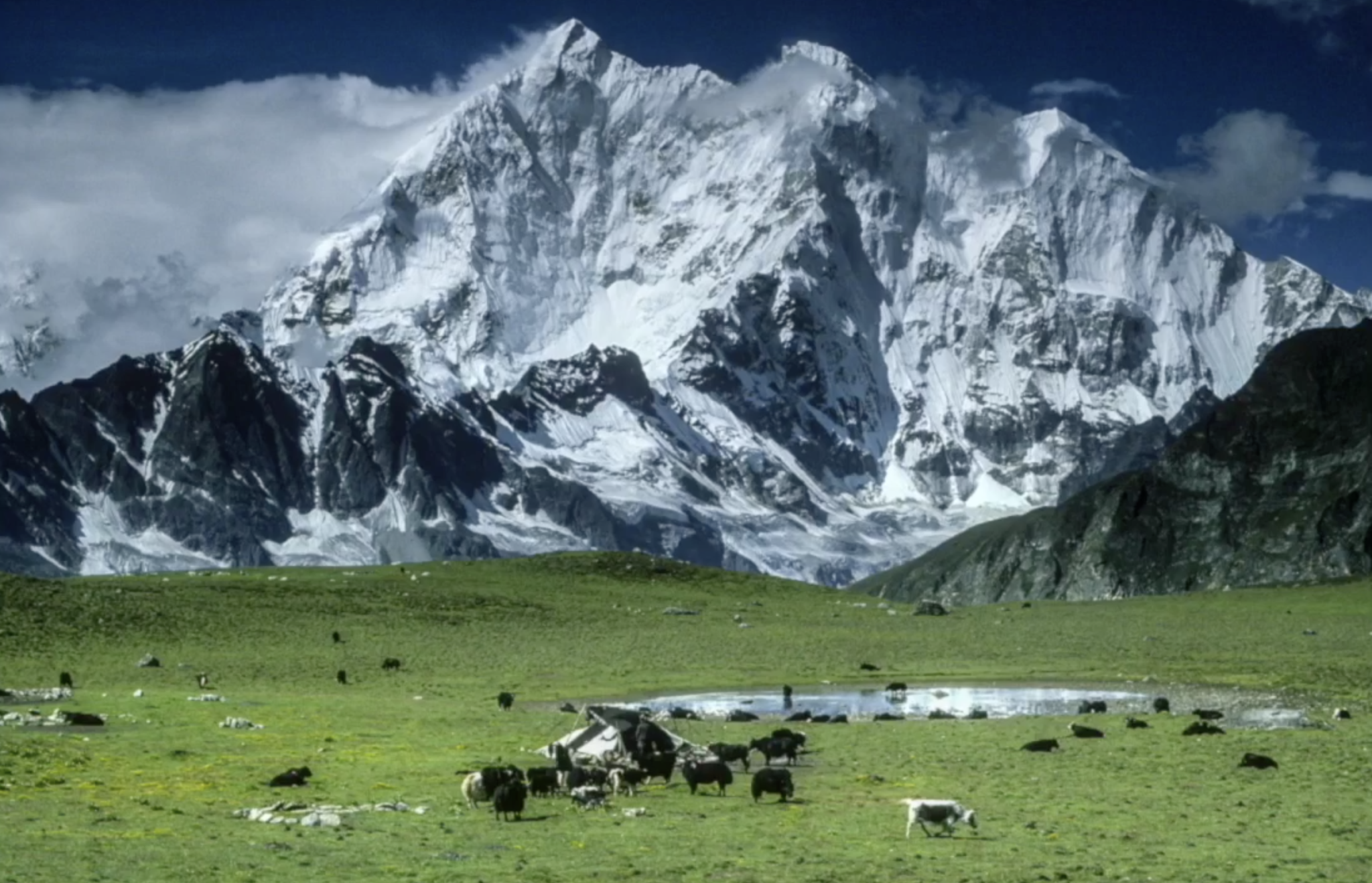 西藏某地雪山下的一户牧民    照片/载自网络